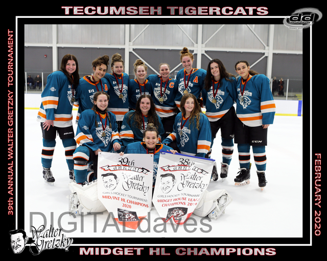 Midget_HL_GOLD_-_Tecumseh_Tigercats.jpg
