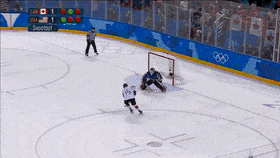 Female_Hockey_1.gif