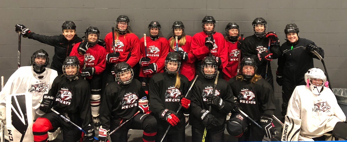 Accomplishments > Bantam Bb - Journey To The Owha Provincials 2018 19 