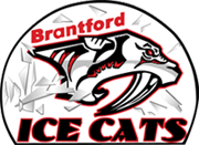 ice_cats.png