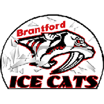 brantford-logo.png