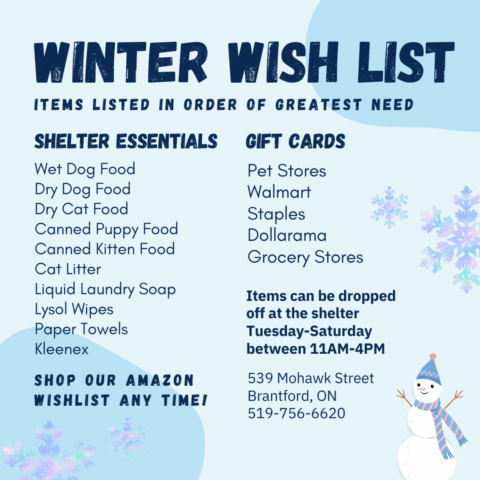 WinterWishlist-1.png